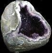 High Quality Amethyst Geode ( lbs) - Check Out Video #36466-4